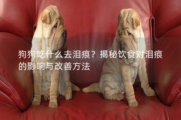 狗狗吃什么去泪痕？揭秘饮食对泪痕的影响与改善方法