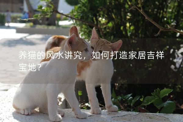 养猫的风水讲究，如何打造家居吉祥宝地？