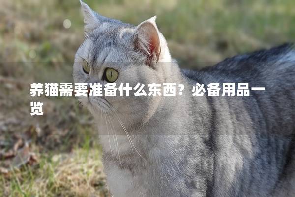 养猫需要准备什么东西？必备用品一览