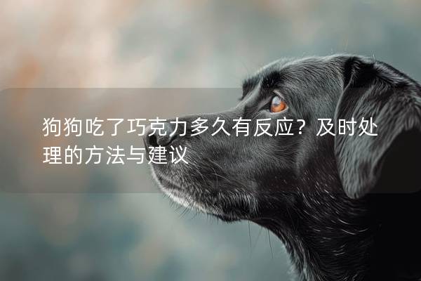 狗狗吃了巧克力多久有反应？及时处理的方法与建议