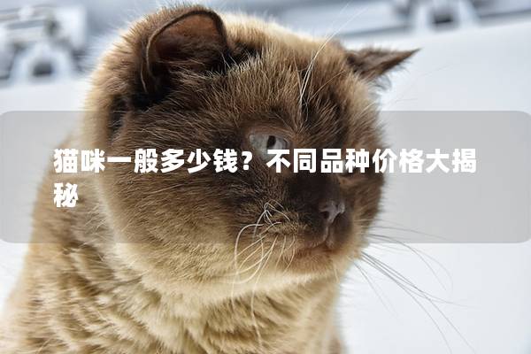 猫咪一般多少钱？不同品种价格大揭秘