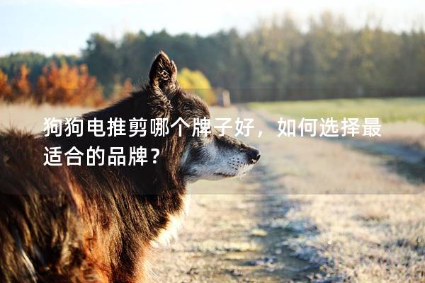 狗狗电推剪哪个牌子好，如何选择最适合的品牌？
