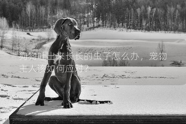 狗狗吐出来长长的虫子怎么办，宠物主人该如何应对？