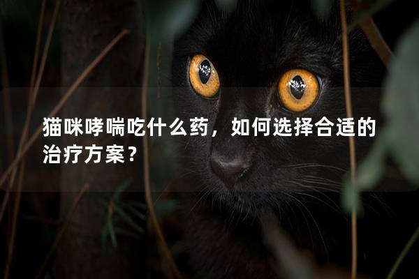 猫咪哮喘吃什么药，如何选择合适的治疗方案？