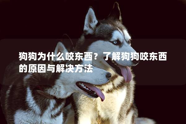 狗狗为什么咬东西？了解狗狗咬东西的原因与解决方法