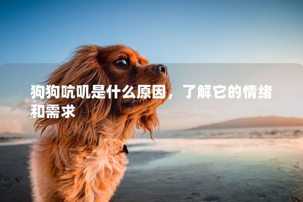 狗狗吭叽是什么原因，了解它的情绪和需求