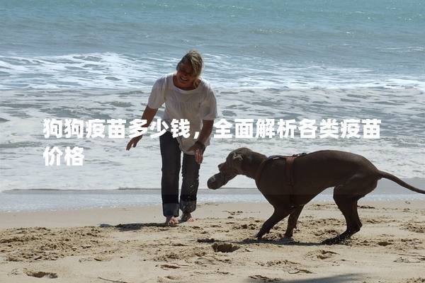狗狗疫苗多少钱，全面解析各类疫苗价格