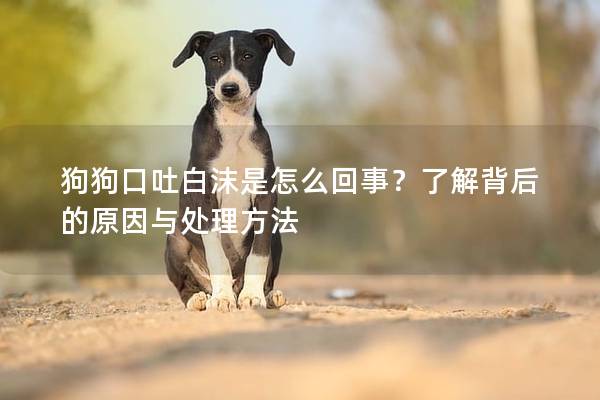 狗狗口吐白沫是怎么回事？了解背后的原因与处理方法