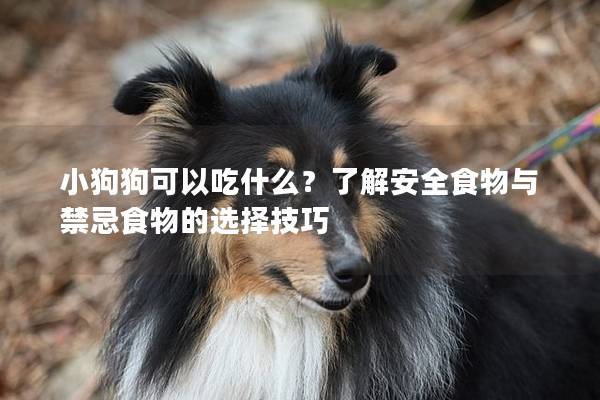小狗狗可以吃什么？了解安全食物与禁忌食物的选择技巧