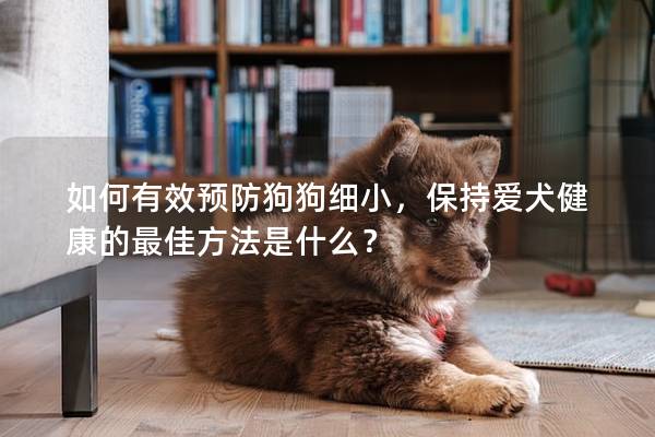 如何有效预防狗狗细小，保持爱犬健康的最佳方法是什么？