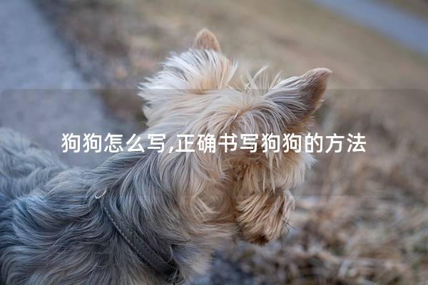 狗狗怎么写,正确书写狗狗的方法