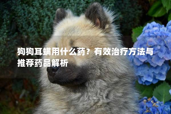 狗狗耳螨用什么药？有效治疗方法与推荐药品解析