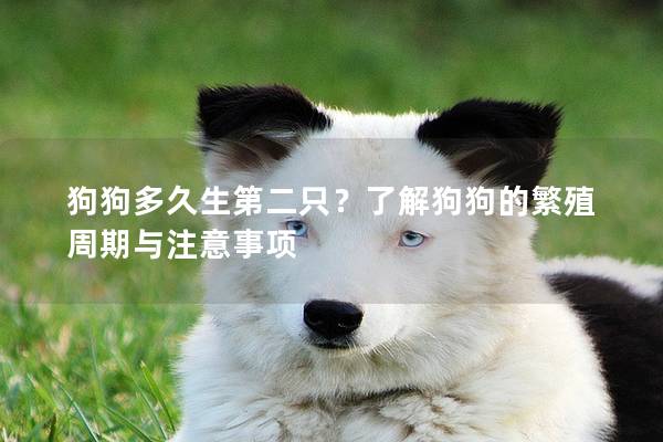 狗狗多久生第二只？了解狗狗的繁殖周期与注意事项