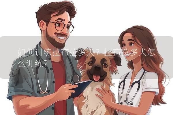 如何训练拉布拉多犬？拉布拉多犬怎么训练？