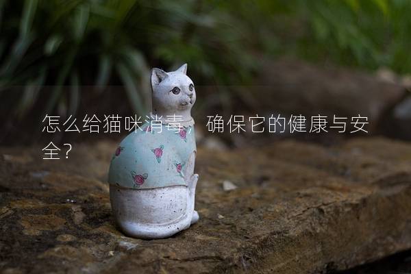 怎么给猫咪消毒，确保它的健康与安全？