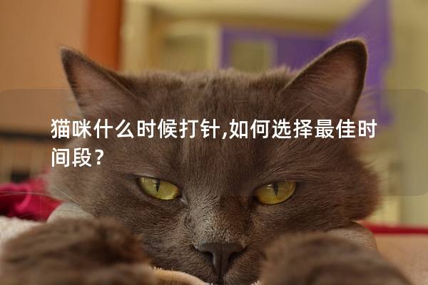猫咪什么时候打针,如何选择最佳时间段？