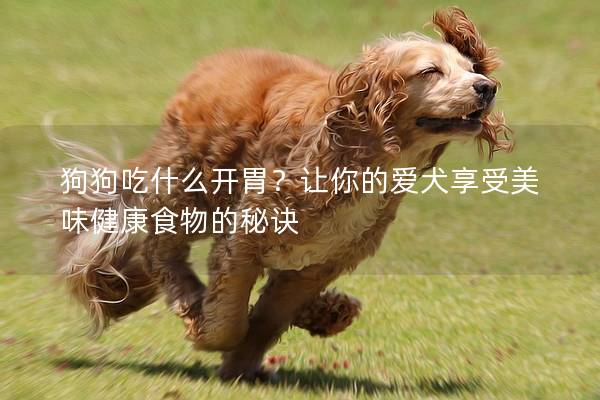 狗狗吃什么开胃？让你的爱犬享受美味健康食物的秘诀