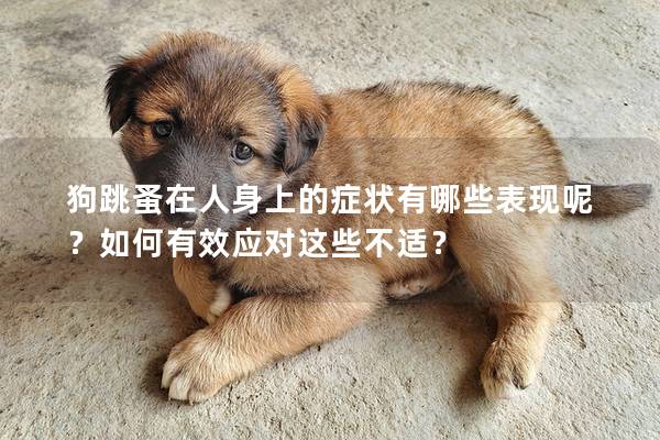 狗跳蚤在人身上的症状有哪些表现呢？如何有效应对这些不适？
