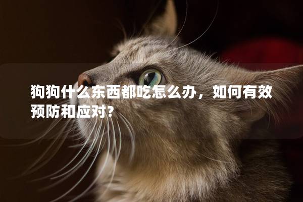 狗狗什么东西都吃怎么办，如何有效预防和应对？