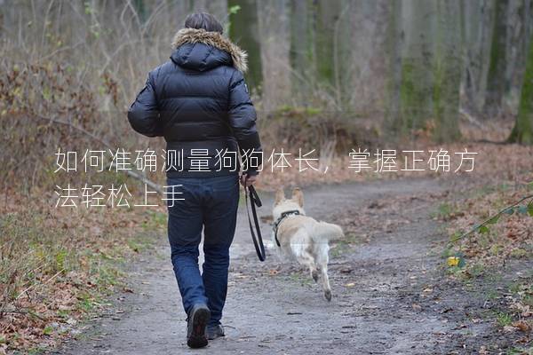 如何准确测量狗狗体长，掌握正确方法轻松上手