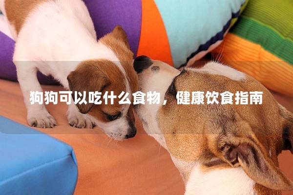狗狗可以吃什么食物，健康饮食指南