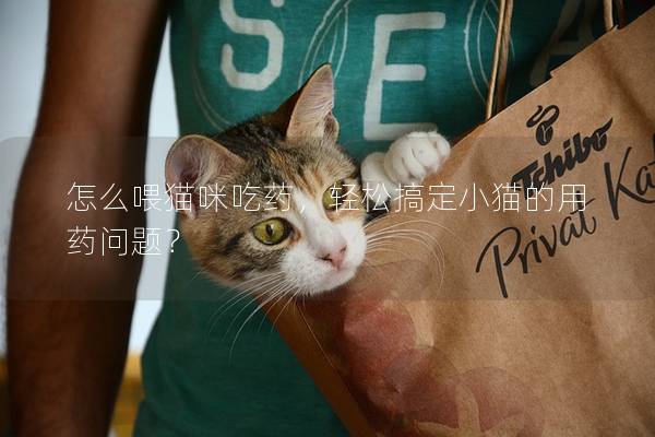怎么喂猫咪吃药，轻松搞定小猫的用药问题？