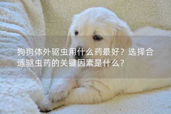 狗狗体外驱虫用什么药最好？选择合适驱虫药的关键因素是什么？