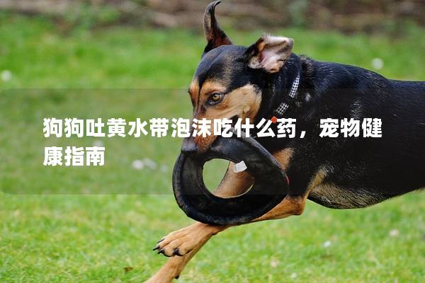 狗狗吐黄水带泡沫吃什么药，宠物健康指南