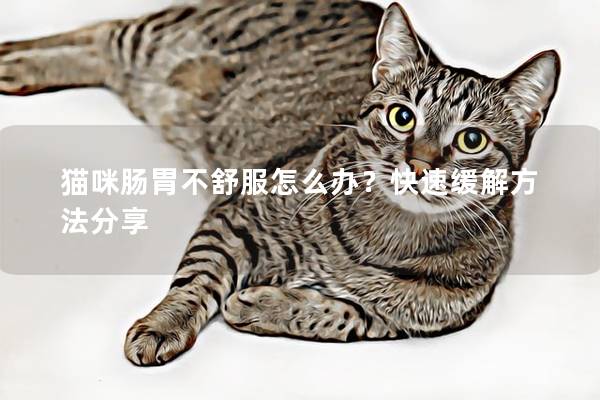 猫咪肠胃不舒服怎么办？快速缓解方法分享