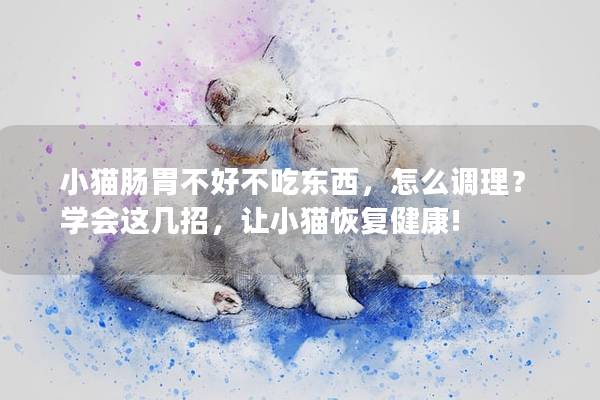 小猫肠胃不好不吃东西，怎么调理？学会这几招，让小猫恢复健康!