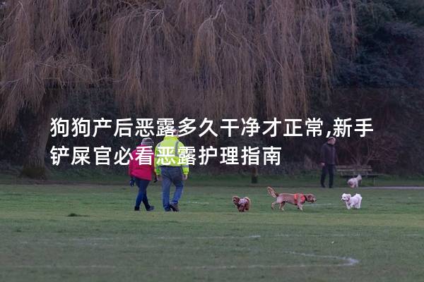 狗狗产后恶露多久干净才正常,新手铲屎官必看恶露护理指南