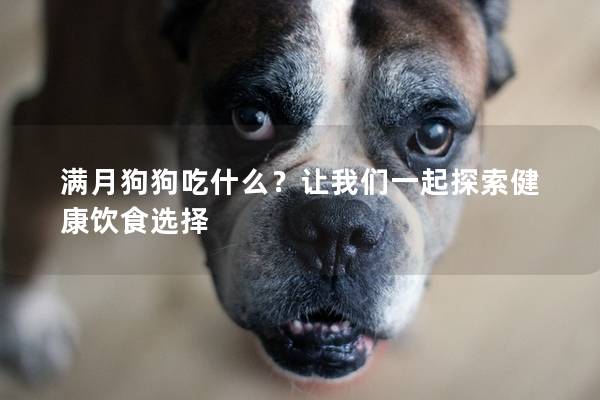 满月狗狗吃什么？让我们一起探索健康饮食选择