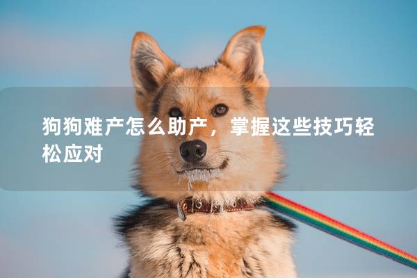 狗狗难产怎么助产，掌握这些技巧轻松应对