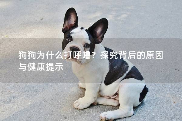 狗狗为什么打呼噜？探究背后的原因与健康提示