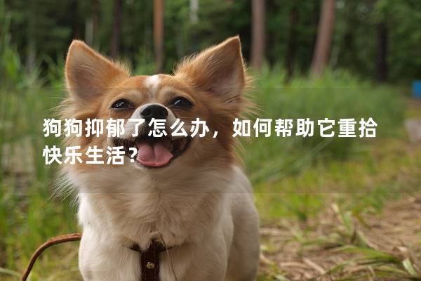 狗狗抑郁了怎么办，如何帮助它重拾快乐生活？