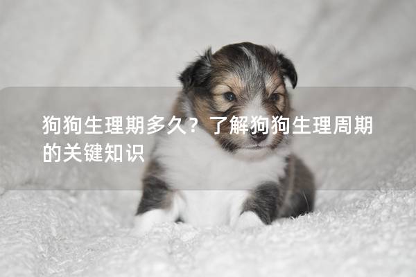 狗狗生理期多久？了解狗狗生理周期的关键知识