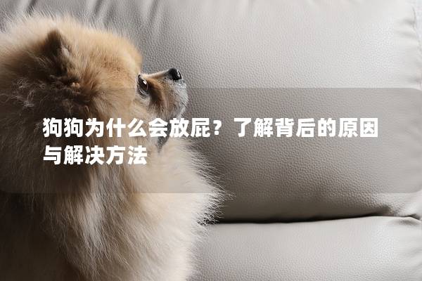 狗狗为什么会放屁？了解背后的原因与解决方法