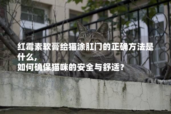 红霉素软膏给猫涂肛门的正确方法是什么, 如何确保猫咪的安全与舒适？