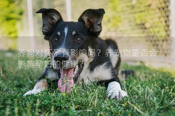 养狗对怀孕有影响吗？养宠物是否会影响孕妇的健康？