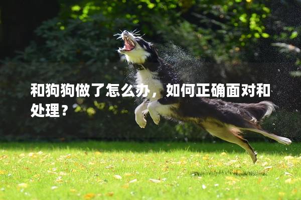 和狗狗做了怎么办，如何正确面对和处理？