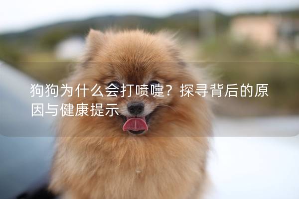 狗狗为什么会打喷嚏？探寻背后的原因与健康提示