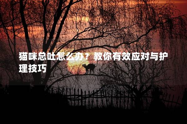 猫咪总吐怎么办？教你有效应对与护理技巧