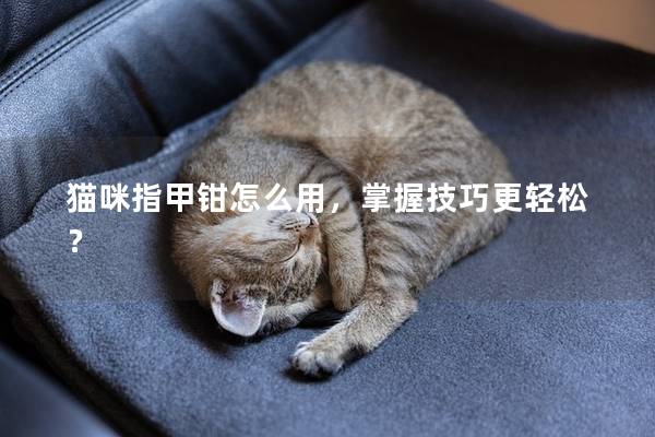猫咪指甲钳怎么用，掌握技巧更轻松？