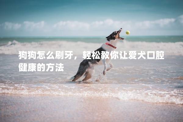 狗狗怎么刷牙，轻松教你让爱犬口腔健康的方法