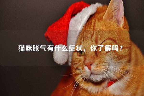 猫咪胀气有什么症状，你了解吗？