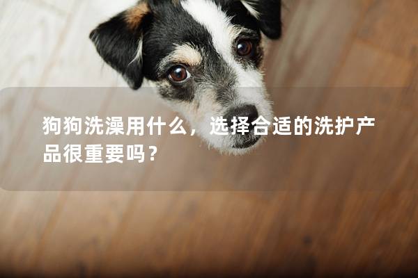 狗狗洗澡用什么，选择合适的洗护产品很重要吗？