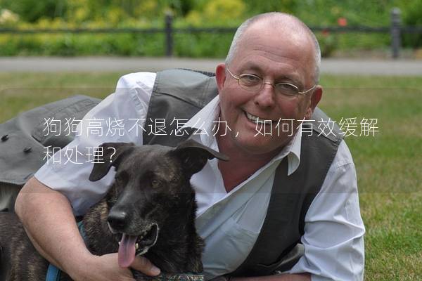 狗狗高烧不退怎么办，如何有效缓解和处理？