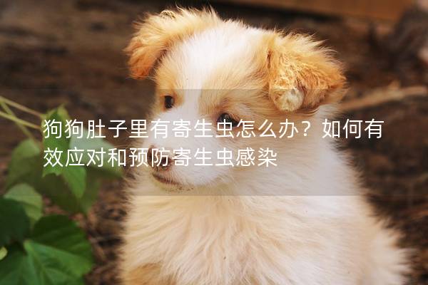 狗狗肚子里有寄生虫怎么办？如何有效应对和预防寄生虫感染