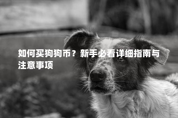 如何买狗狗币？新手必看详细指南与注意事项