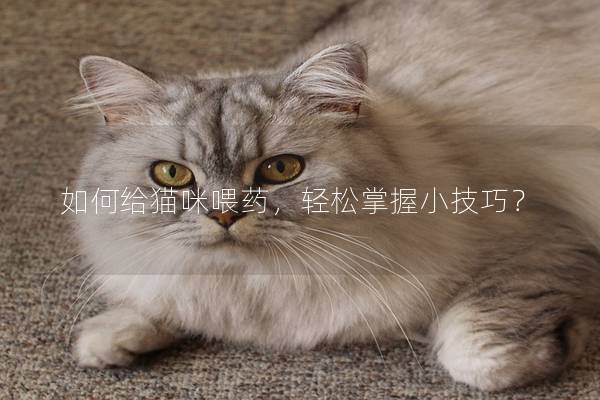 如何给猫咪喂药，轻松掌握小技巧？